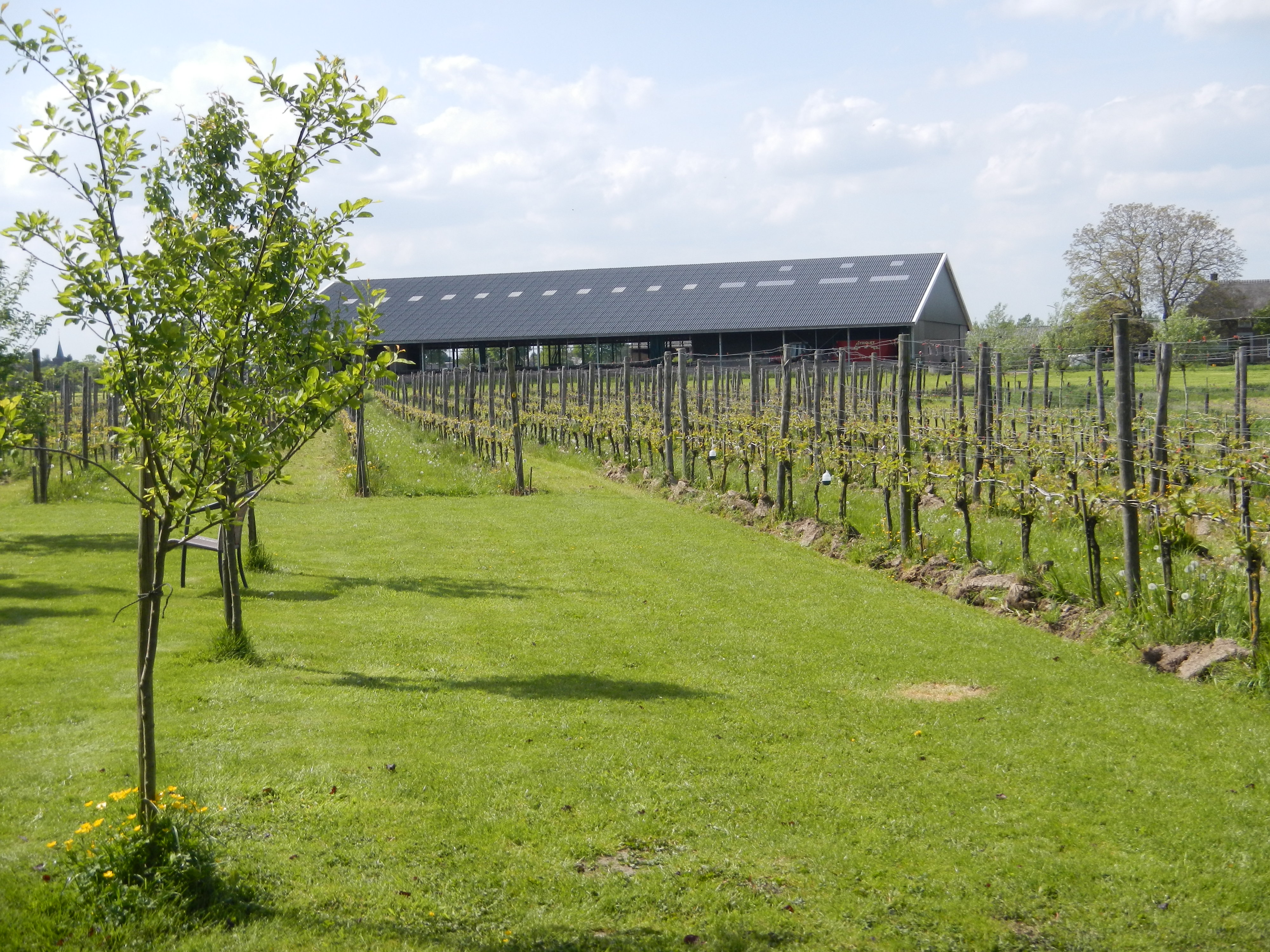 HWK 2012 Hummelo 142.jpg